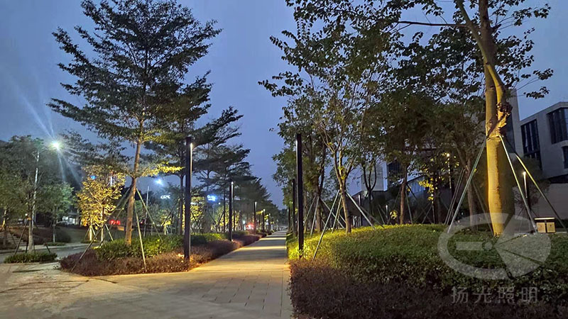 創意園區夜景照明實拍圖
